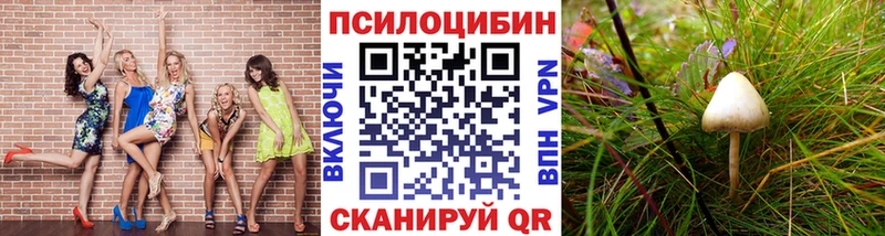 Галлюциногенные грибы MAGIC MUSHROOMS  Севастополь 