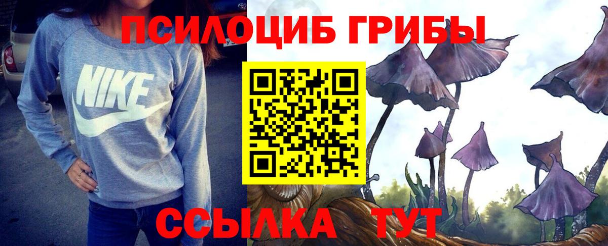 Псилоцибиновые грибы GOLDEN TEACHER  как найти наркотики  Севастополь  Вход с VPN 